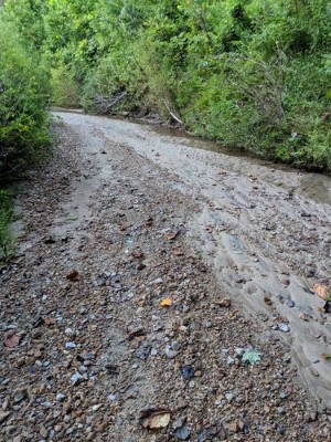 CD 1000 {Unembossed};  <span style="color:red">UPDATE:</span>  incredible "creek tumbled" glass block